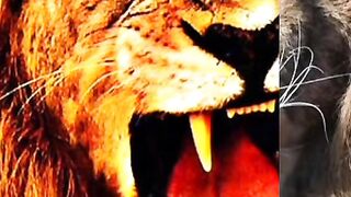 Dangerous lion pictures | Viral video | MrHappy7 | 2023