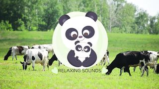 Funny Animal Moments: Cows, Dogs, Cats, Horses, Delphine, Tiger, Lion,