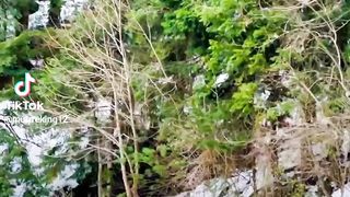 murree The beautifull