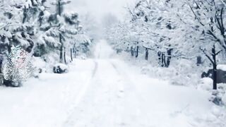 Beautiful nature #viral#foryou