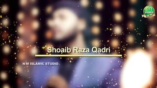 Nabi Ka Lab Par Jo Zikr Hai Bemisal Aaya Kamal Aya|Nabi Ka Lab Par Jo Zikr Status|NM Islamic Studio
