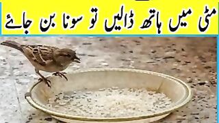 Daulat hasil karne ka wazifa ll