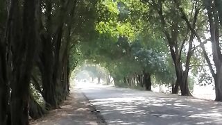 Journey on Badin to tando bago Road