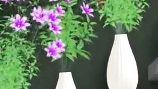 beautiful flower