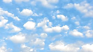 Cool Nature | #nature | #short