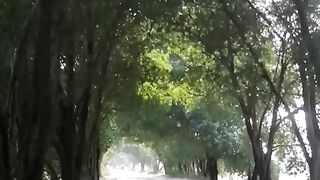Simple journey to Badin