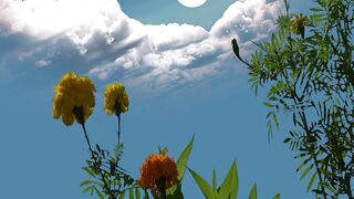 Beautiful view of nature 180