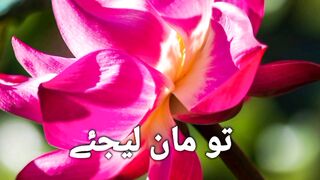 Quotes in urdu! Gehri bat