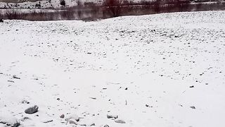 Hunting ducks in off season