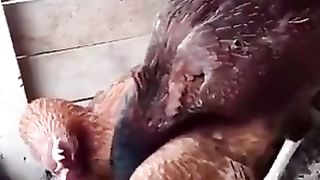 Caring Dad
