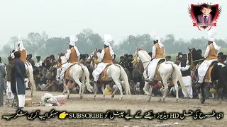 #Horses on befor Riding 8