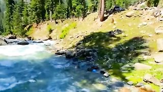 Beautiful waterfall nature | follow