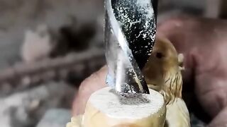 amazing video