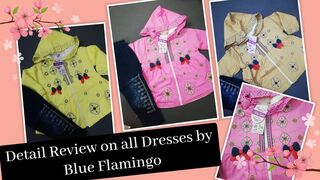 Girls fancy dresses by Blue Flamingo clothing store