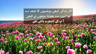 Agar Zindagi Kabhi Roshnyo ka tohfah