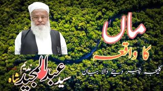 Molana Syed Abdul Majeed Nadeem Shah bayan _ Maa ka waqiya _ Islami bayan (720p).