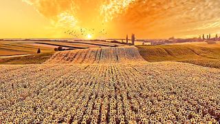 Just_amazing_view .