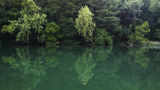 Sailing down a river surrounded by Trees
