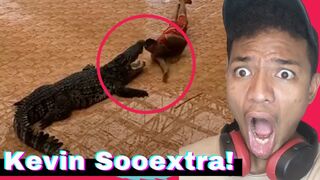 Top 10 Shocking Animal TikTok Moments!!