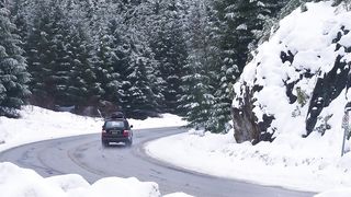 Curve lead to a snowy forest road