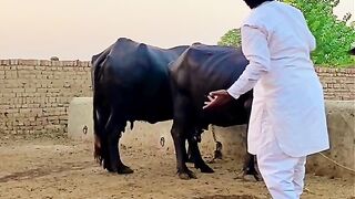 Amazing magic video