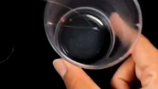 New magic trick