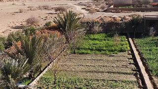 Taltfraoute Errachidia Morocco