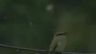 Khuda ki De Rahmat sy Na umeed na ho a beautiful Islamic video