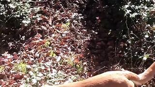 Funny Dog#funny