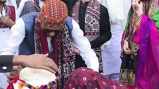 Best Funny video