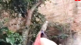 The hanging man funny video can't stop laughing