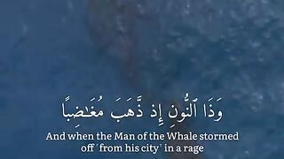 Islamic videos | Tilawat e Quran |islam