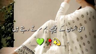 Jis insaan ko hamari kadar hi nahin hoti very heart filling status