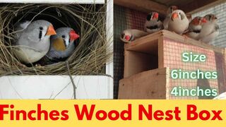 How To make Finch Breeding Nest Box