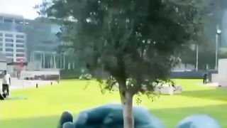 Beautiful video Save green Save life ????????????