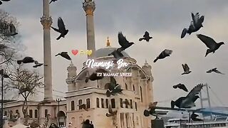 Love video