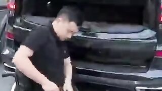 A beautiful amazing video watch till the end ????