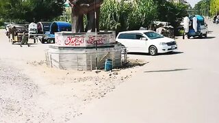 Beautiful video