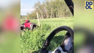 The Best Funny Videos to Watch Right Now