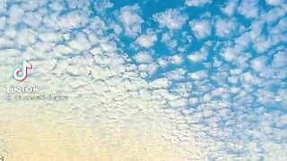 012d55be73a5b5b13b6e4bc9d445