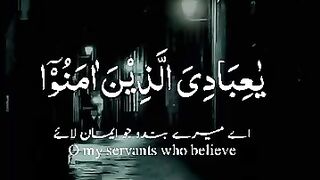 Beautiful Quran Recitation ????