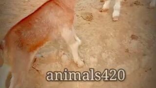 funny ghots baby comedy #virl video????????