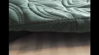 funny cat video