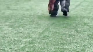 A real action movie.