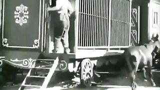 Funny video