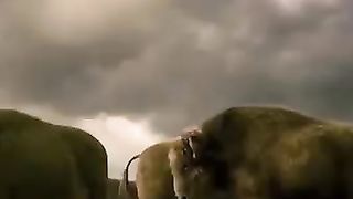 Alpha Movie Explain In hindi