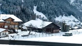 Snowfall