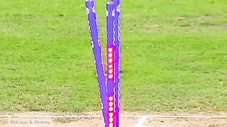 Cricket fans