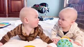 Funniest Dogs And Cats Videos ???? - Best Funny Animal Videos 2023 ???? #6