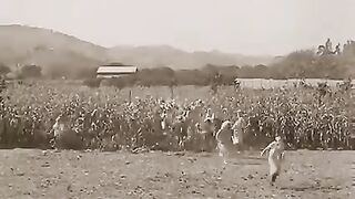 Charlie chaplain funny video/charlie comedian video